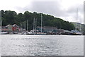 Boats on the River Dart