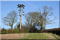 SO5956 : Thinly disguised mobile phone mast by Philip Halling