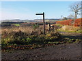 Sign for Jedburgh Circular route