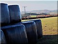 Silage bales near Over Thickside