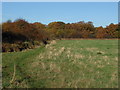 Recreation ground, Hillingdon