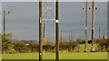 J1785 : Poles and power lines, Muckamore by Albert Bridge