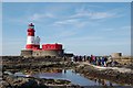 NU2438 : Longstone Lighthouse, Farne Islands by John Sparshatt