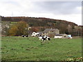 Field beside the Kirklees Way