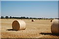 Field near Nunwick