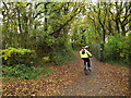 Cyclists on route 21