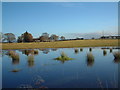 Flooded field