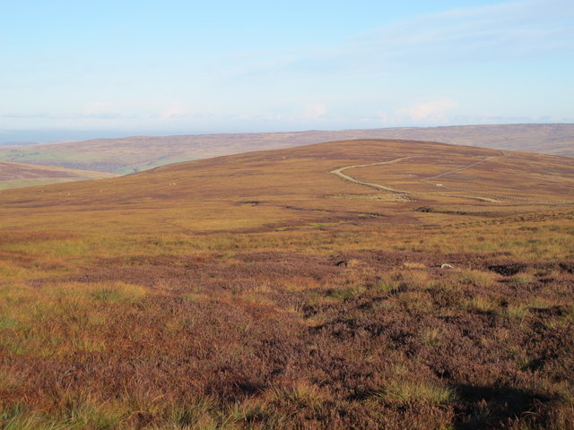 Knarsdale Forest around Small Cleugh © Mike Quinn :: Geograph Britain ...