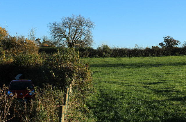 2012 : Pasture opposite the Chew Magna reservoir