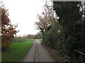 A path leading to Hull City Centre