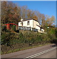 Roadside advertising, Alvington