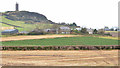 Fields near Comber and Scrabo