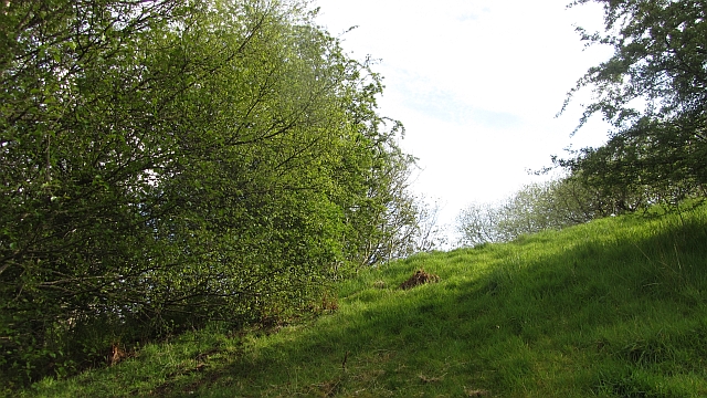 Steep slope above the towpath