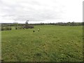 Ramackan Townland