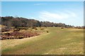 Sun Lane Nature Reserve, Burley-in-Wharfedale