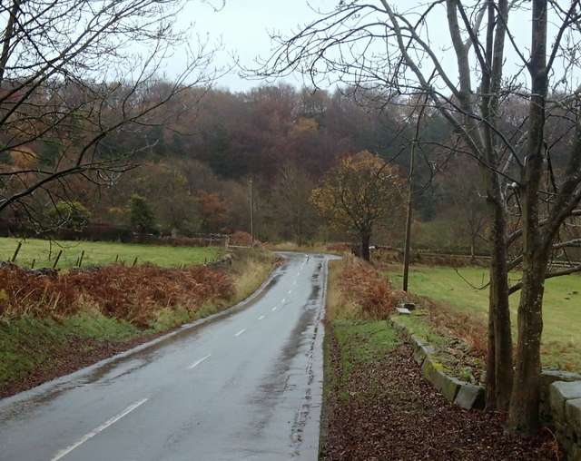Whitelow Lane