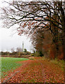 Barton Farm mobile phone mast