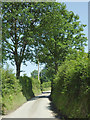 The lane to Llangybi, Ceredigion