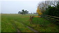 Pasture near Spooner