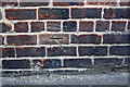 Benchmark on #31 Commercial Street