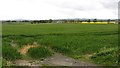NZ2098 : A cereal field by Richard Webb