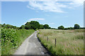 Farm road on Llangybi Common, Ceredigion