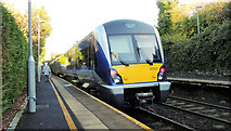 J4079 : Train, Marino, Holywood (2012-2) by Albert Bridge