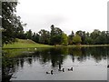 TQ1263 : The Lake, Claremont Landscape Gardens, Surrey by nick macneill