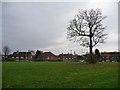 Public open space above Barncroft Close