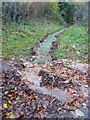 Footpath on Wormcliffe Lane after heavy rain