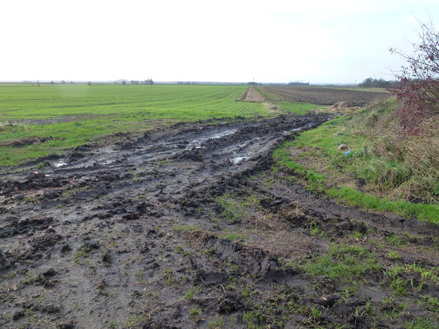 Muddy field entrance off Conquest Drove