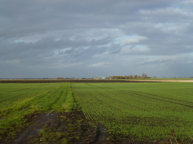Farmland on the eastern edge of Holme Fen