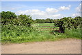 Gateway beside road to Kirkbridge