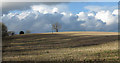 Stubble field beside Hummerbeck Lane