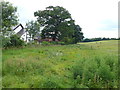 Bridle path at Iron Gate Farm