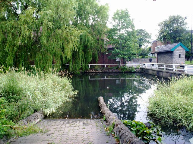 Village pond in Cleadon