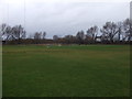 Ashton-under-Lyne Cricket Club - Ground