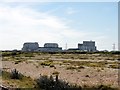 Dungeness