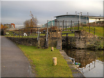 SJ8698 : Ashton Canal, Lock 4 (Beswick Bottom Lock) by David Dixon