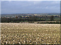 TL0993 : View towards Elton, Cambs, from the east by Rodney Burton