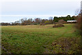 Field south of Worthy Down Camp