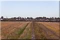 Footpath approaching South Wonston