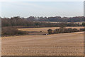 Farm land between Worthy Down Camp and South Wonston