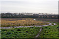 Looking across farm track towards Worthy Down Camp