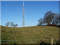 Newton transmitter mast