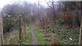 Path along the side of the river trent