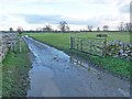 Lane near East Matfen