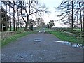 Bridleway to Fenwick Shield