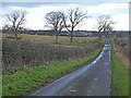 The road to Thornham Hill