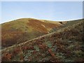 NT8718 : Hillside beside Yearning Cleugh by Richard Webb